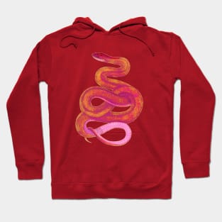 serpent,cobra,reptile,viper,venom,lizard,rattlesnake,king cobra,dragon,hydra,poison,venomous,plumber's snake,pythonidae,pythons,auger,python,squamata,serpentine,worm,big,ophidian,rattlesnakes,medusa,snakebite Hoodie